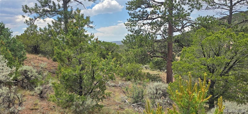 Lot 4401 Melcarth Rd, Fort Garland, CO 81133