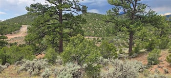 Lot 4401 Melcarth Rd, Fort Garland, CO 81133