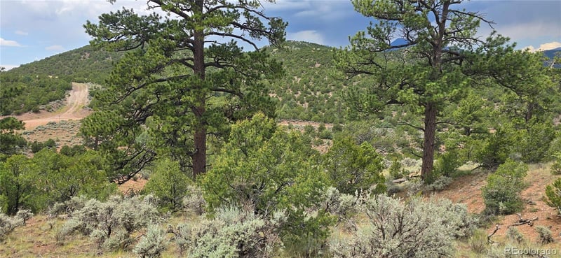 Lot 4401 Melcarth Rd, Fort Garland, CO 81133