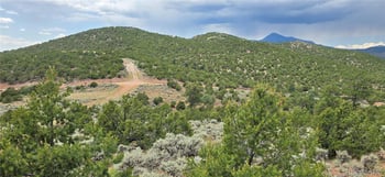 Lot 4401 Melcarth Rd, Fort Garland, CO 81133