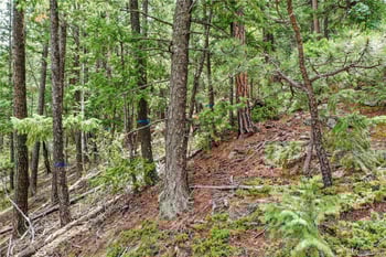 26367 Bell Park Dr, Evergreen, CO 80439