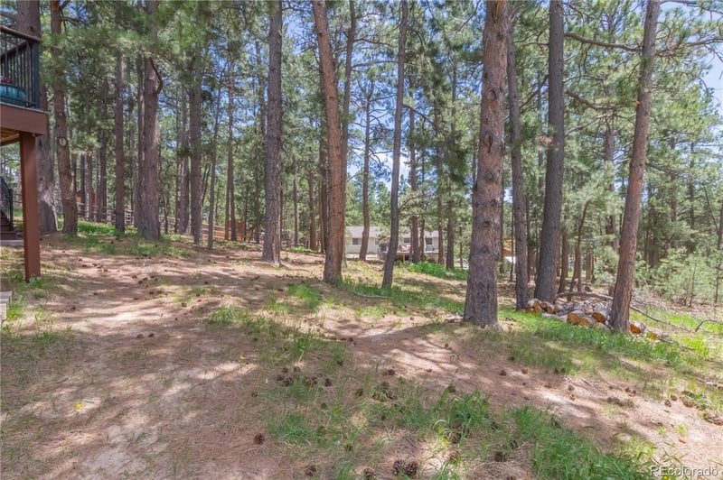 115 E Kings Deer Point, Monument, CO 80132