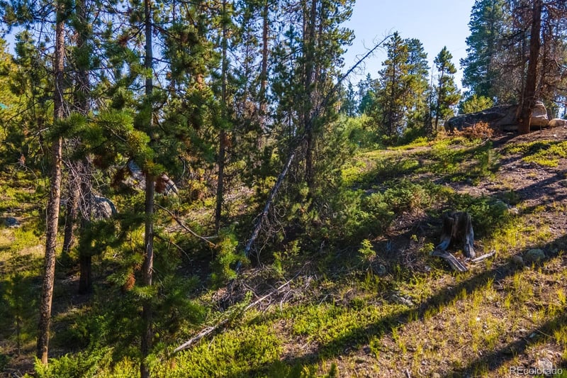 917 Tallaqua Dr, Grand Lake, CO 80447