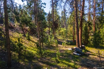 917 Tallaqua Dr, Grand Lake, CO 80447