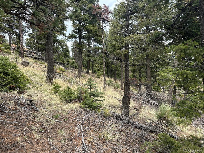 275 Upper Vista Rd, Manitou Springs, CO 80829