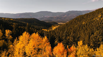 950 Corral Creek Rd, Evergreen, CO 80439