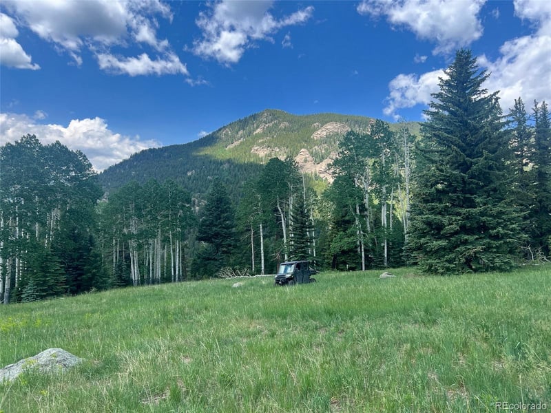 950 Corral Creek Rd, Evergreen, CO 80439