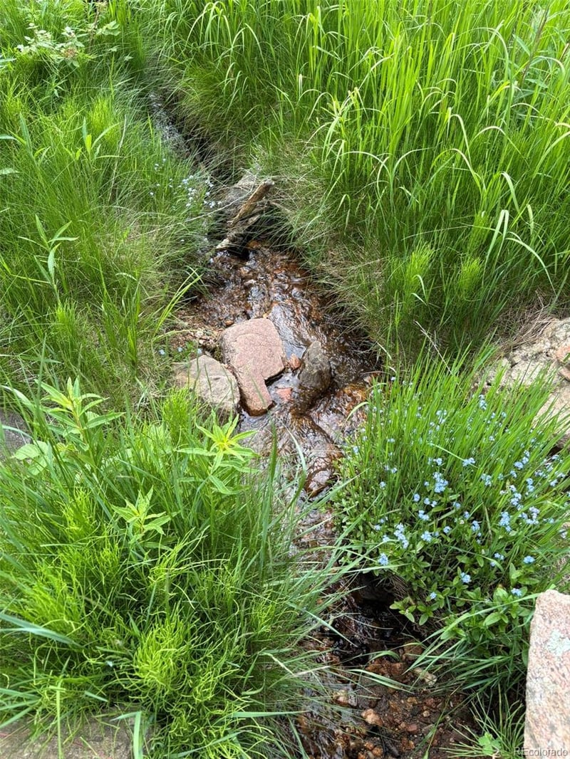 28651 Belle Point Dr, Conifer, CO 80433