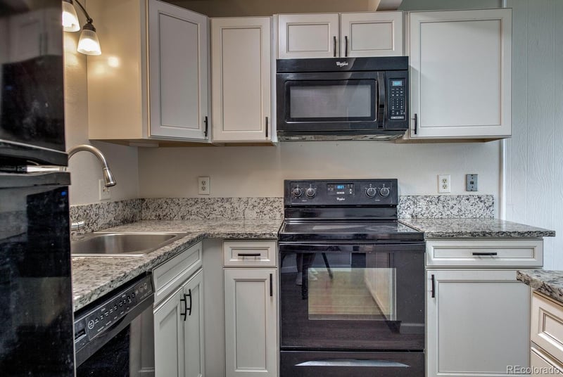 1213 Straight Creek Dr #101, Dillon, CO 80435