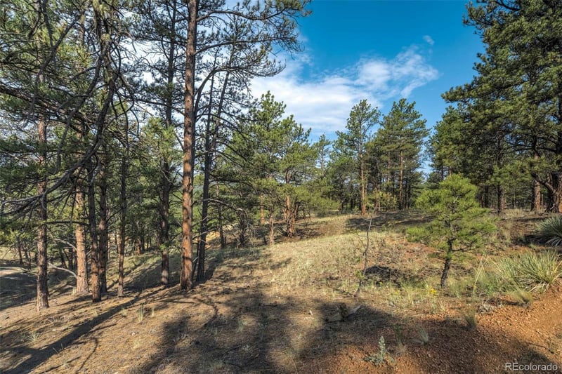 39 Reed Dr, Florissant, CO 80816