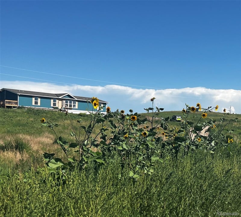 46500 Deertrail Rd, Deer Trail, CO 80105