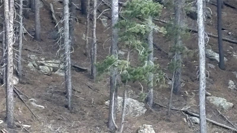 1 Miners Rd, Black Hawk, CO 80422