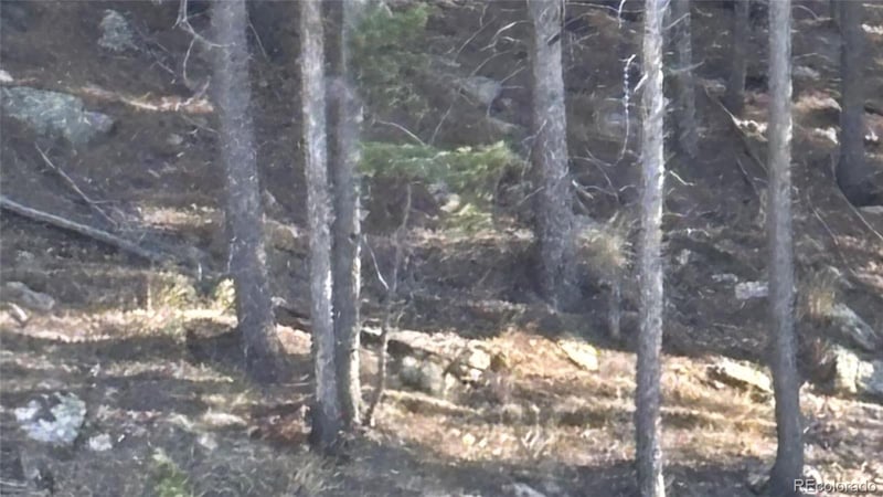 1 Miners Rd, Black Hawk, CO 80422