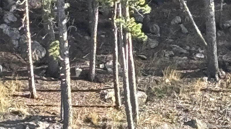 1 Miners Rd, Black Hawk, CO 80422