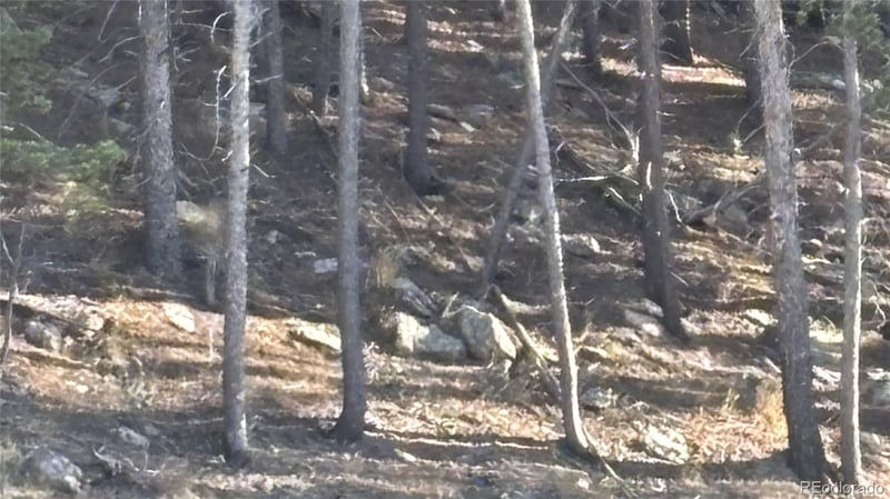 1 Miners Rd, Black Hawk, CO 80422