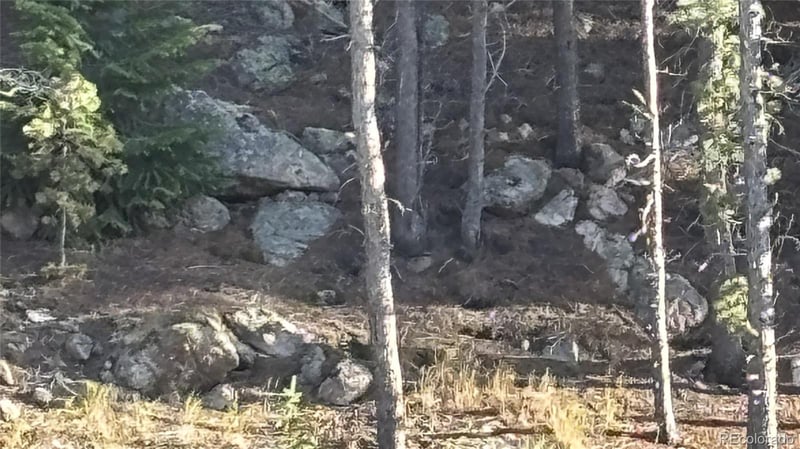 1 Miners Rd, Black Hawk, CO 80422