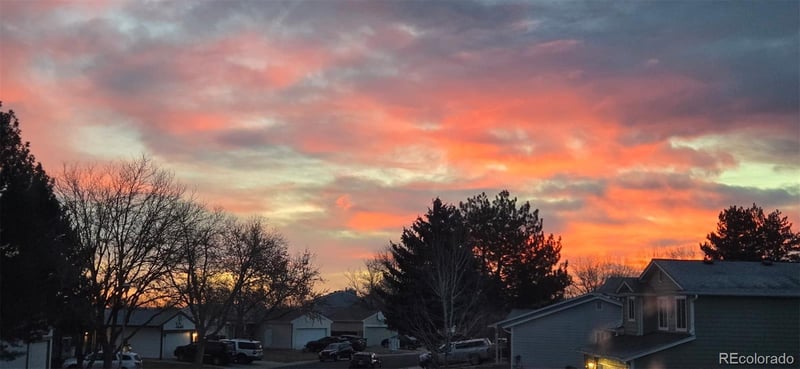 9975 Wagon Trail Dr, Littleton, CO 80123