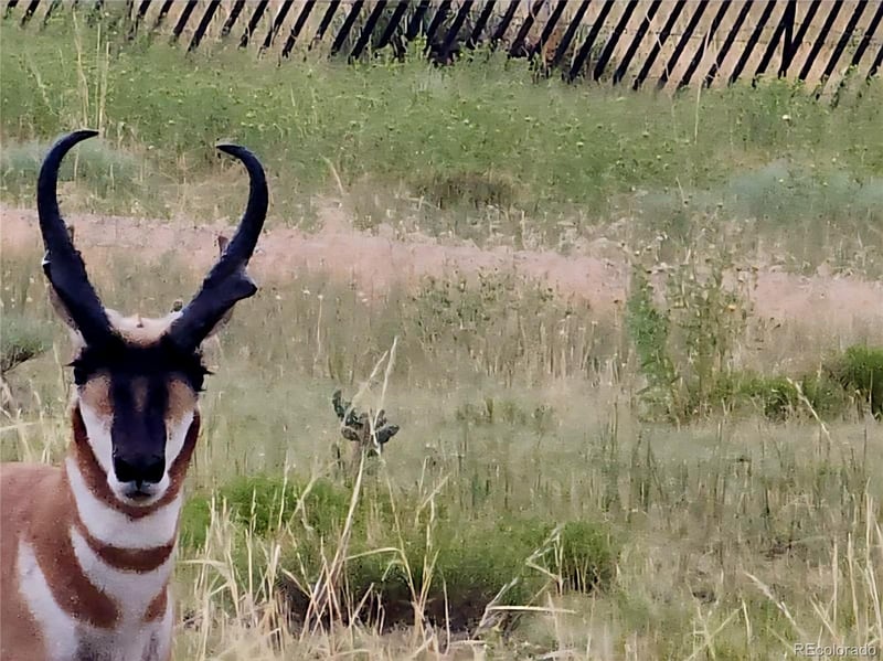 0 River Ridge Ranch, Walsenburg, CO 81089