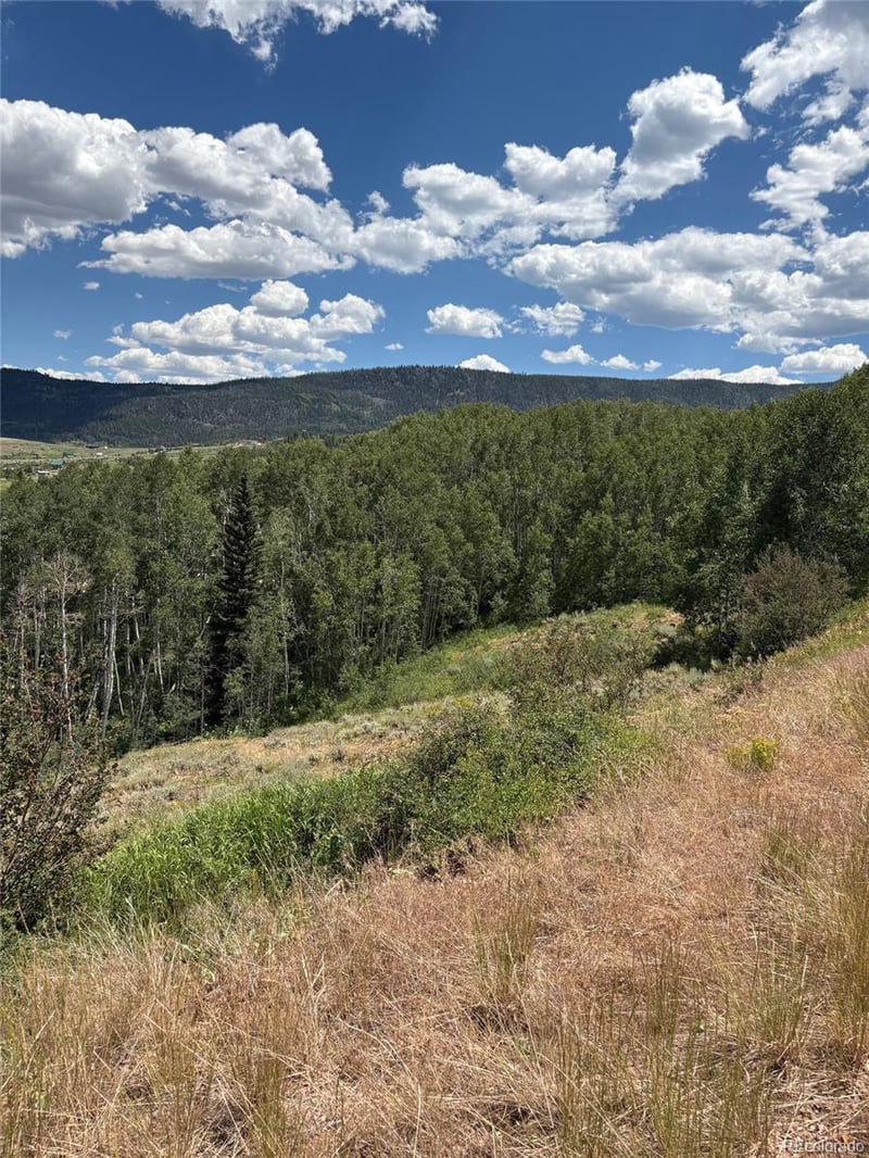 1874 Gcr 162 , Kremmling, CO 80459