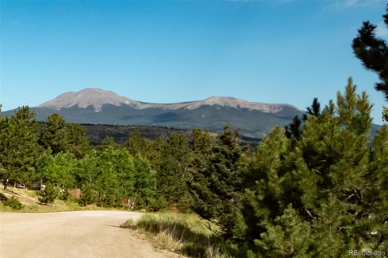 3296 Singletree Rd, Hartsel, CO 80449