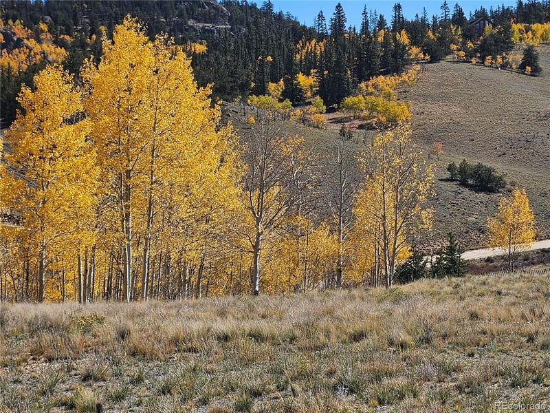 1155 Travois, Jefferson, CO 80456
