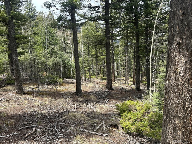 357 Big Horn, Manitou Springs, CO 80829