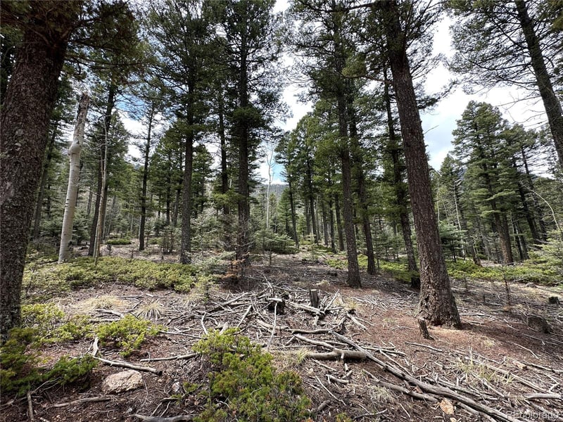 357 Big Horn, Manitou Springs, CO 80829