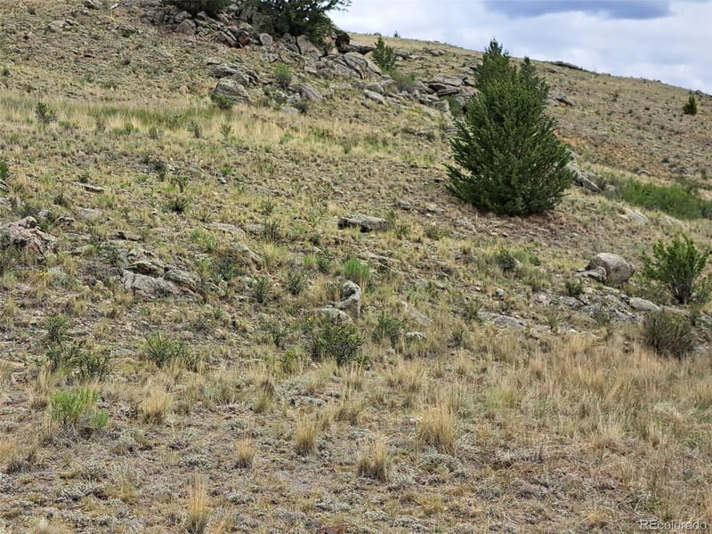 924 Mustang Rd, Como, CO 80432