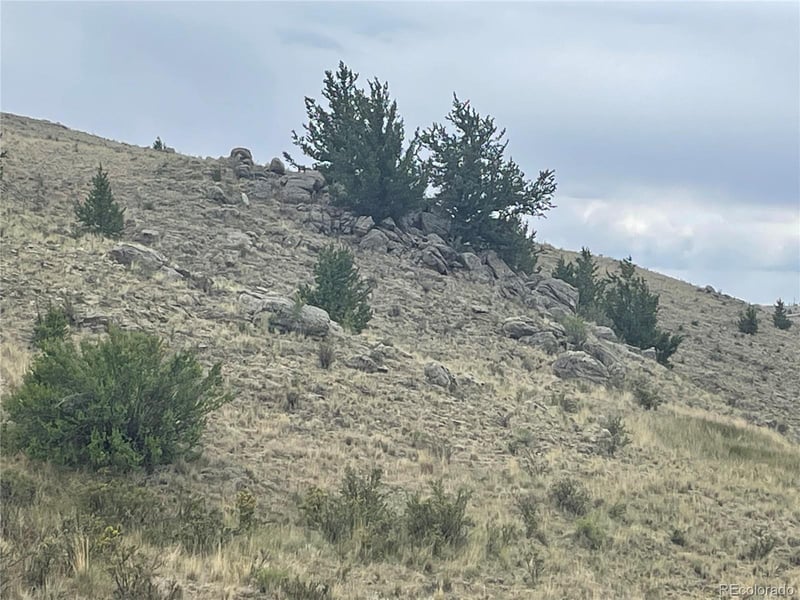 924 Mustang Rd, Como, CO 80432