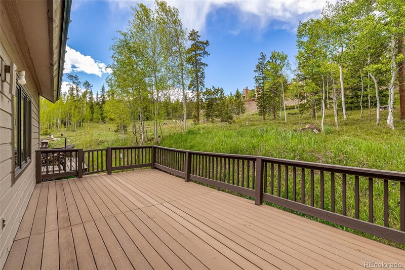 132 Burgundy Cir, Silverthorne, CO 80498