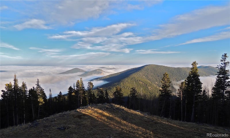 1539 Raven Ridge Rd, Idaho Springs, CO 80452