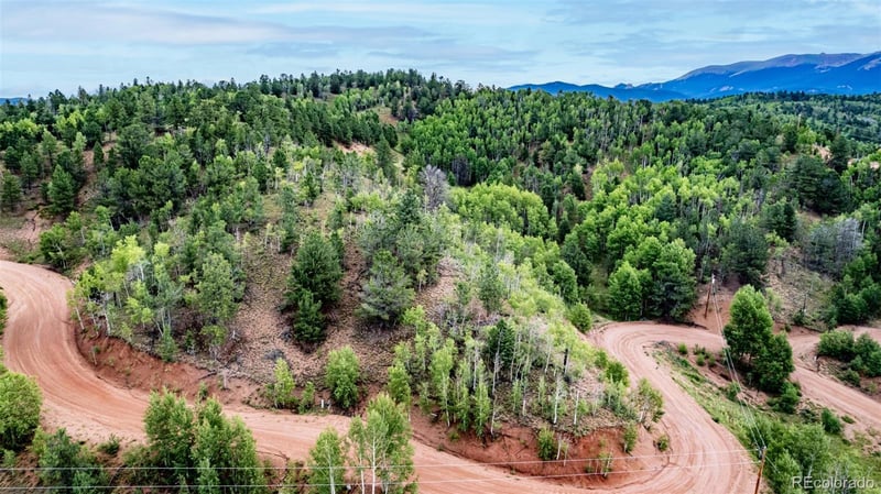 1693 Golden Cycle Cir, Cripple Creek, CO 80813
