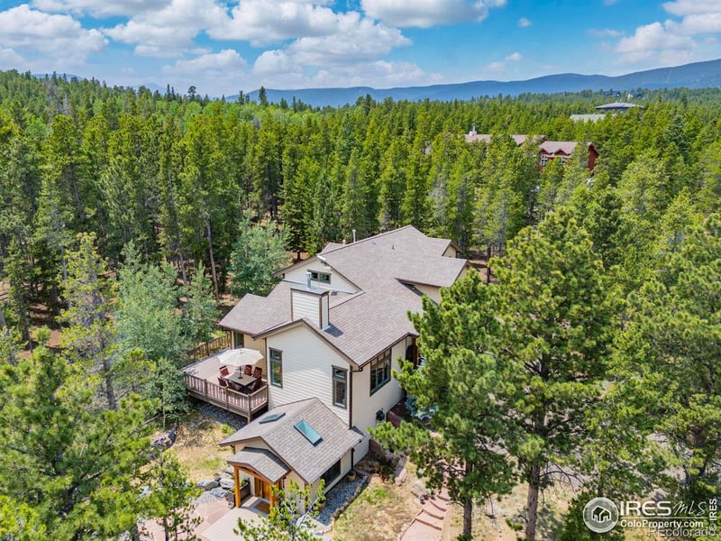 225 Indian Peaks Dr, Nederland, CO 80466
