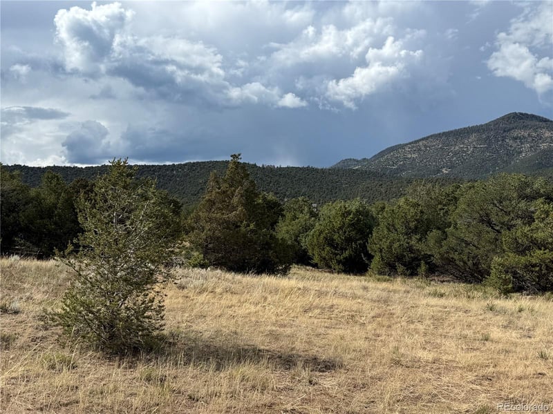 729 Vail Pass Rd, South Fork, CO 81154