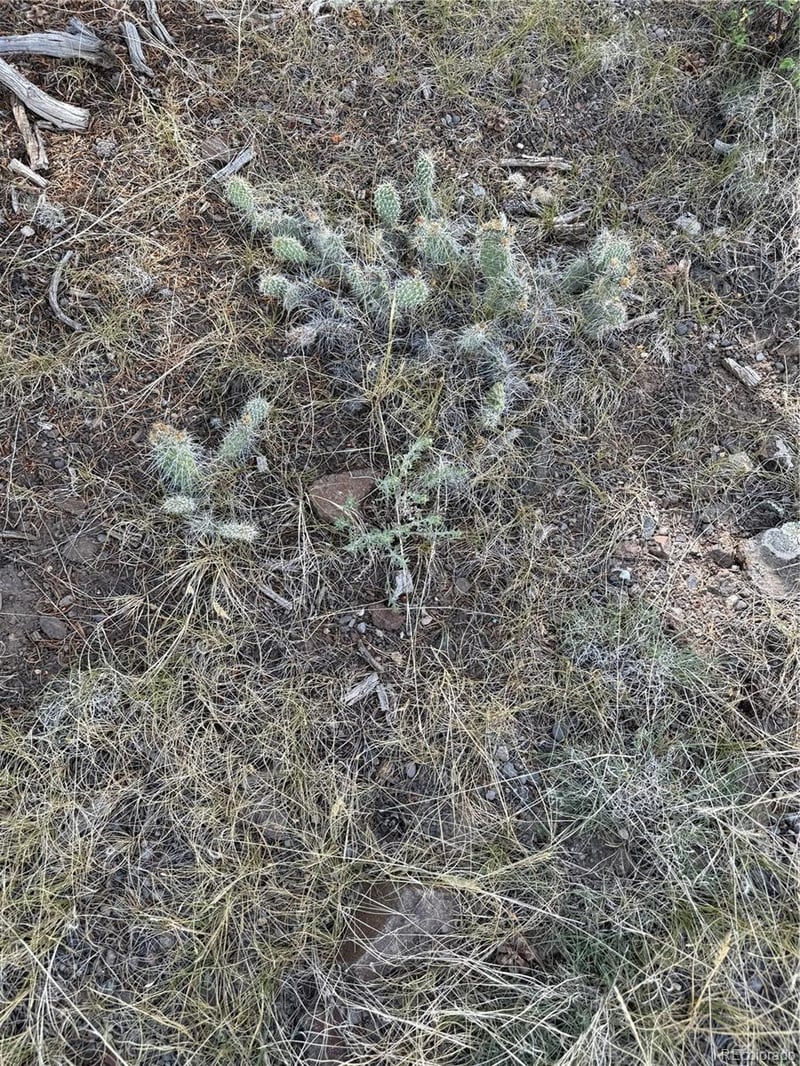 729 Vail Pass Rd, South Fork, CO 81154