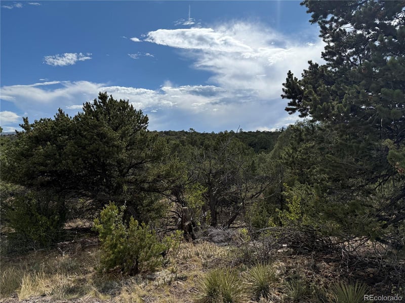 729 Vail Pass Rd, South Fork, CO 81154