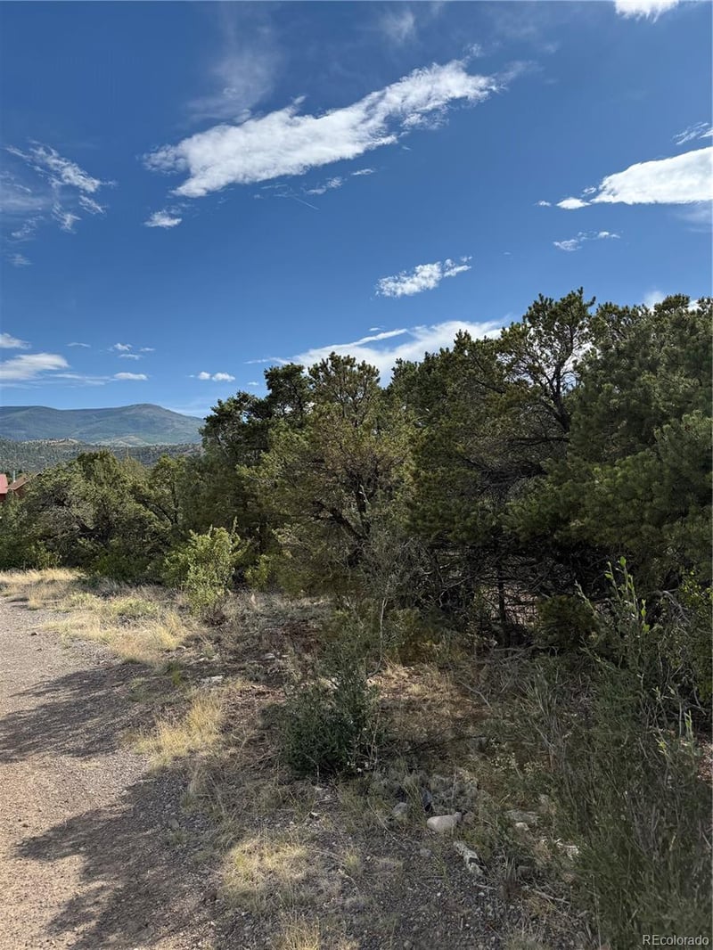 729 Vail Pass Rd, South Fork, CO 81154