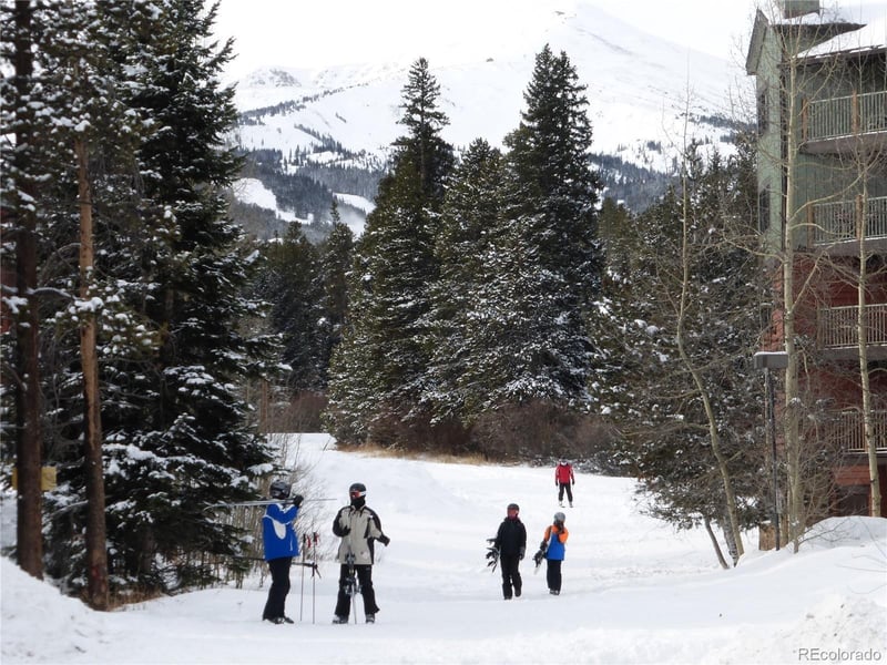 100 S Park Ave #W308, Breckenridge, CO 80424