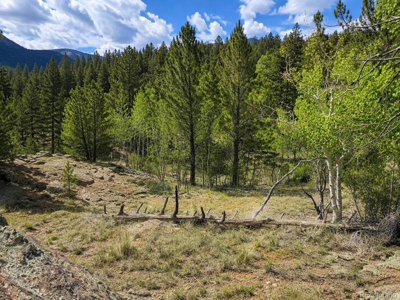 639 Spade Pl, Jefferson, CO 80456
