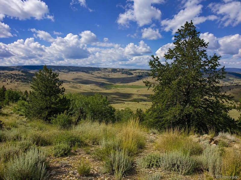639 Spade Pl, Jefferson, CO 80456