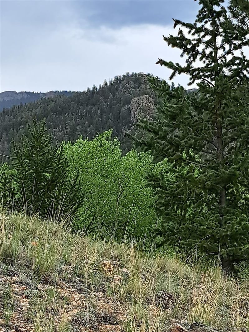 639 Spade Pl, Jefferson, CO 80456