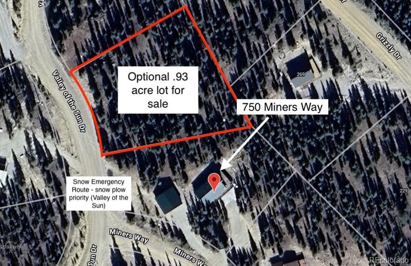 750 Miners Way, Fairplay, CO 80440