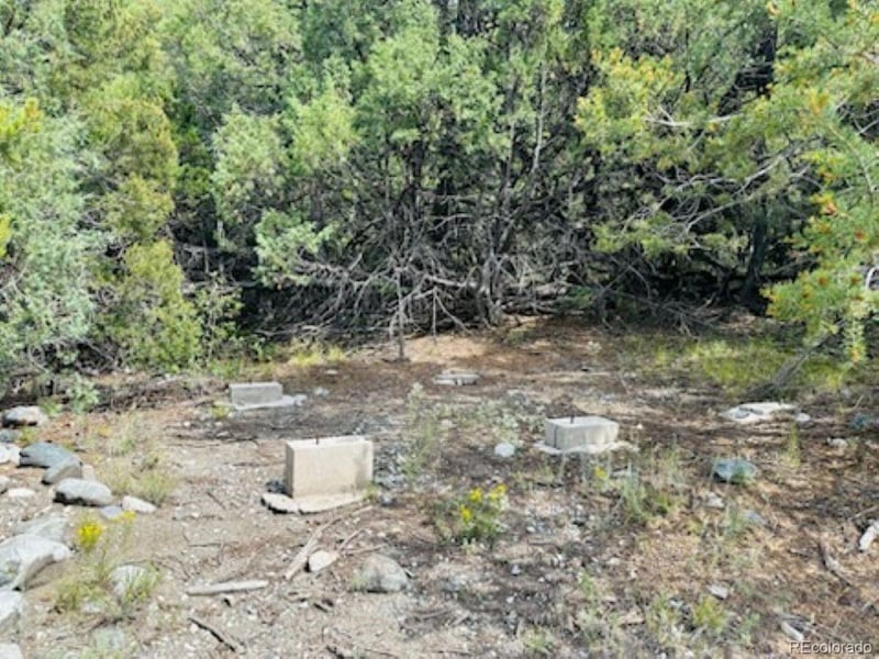 216 Colima Pl, Mosca, CO 81146