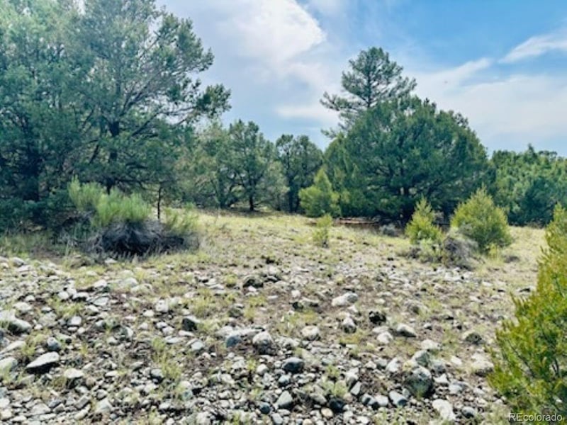 216 Colima Pl, Mosca, CO 81146