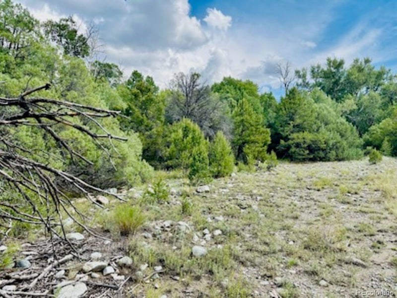 216 Colima Pl, Mosca, CO 81146