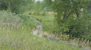 7096 Dry Creek Cir, Centennial, CO 80112