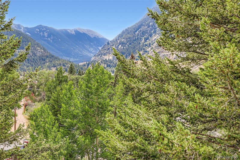 819 Valley View Dr, Georgetown, CO 80444