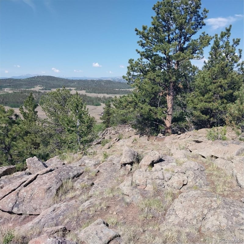 496 Houma Way, Como, CO 80432