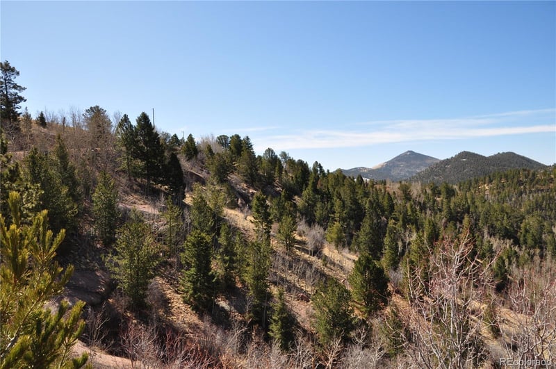 67 Ajax Ct, Florissant, CO 80816