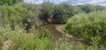 Lot 4053 Hilton Rd, Fort Garland, CO 81133